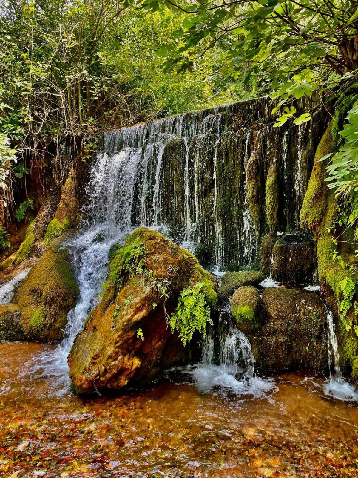 Moulin Gaillard Otel Bédarieux Dış mekan fotoğraf