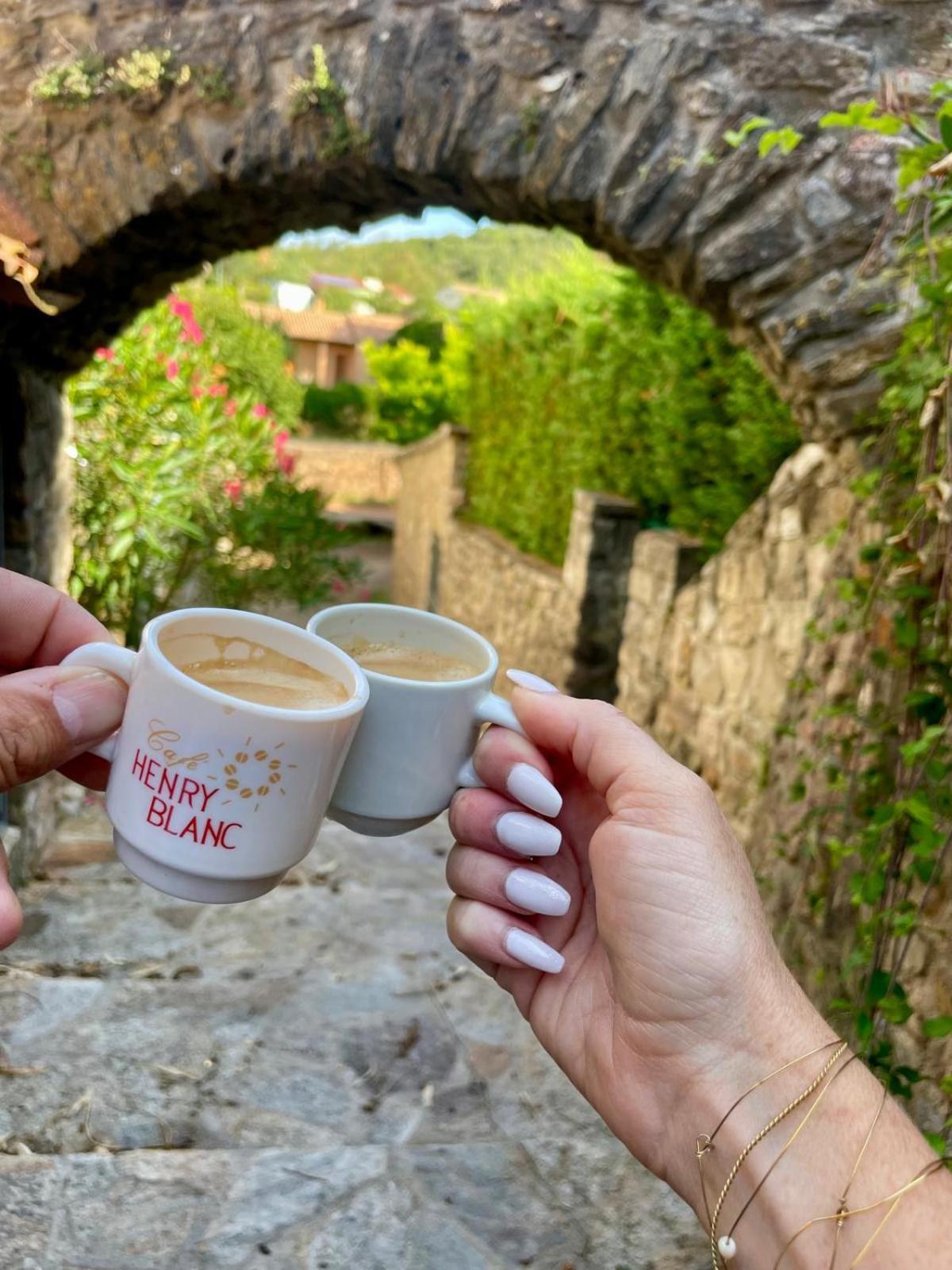 Moulin Gaillard Otel Bédarieux Dış mekan fotoğraf