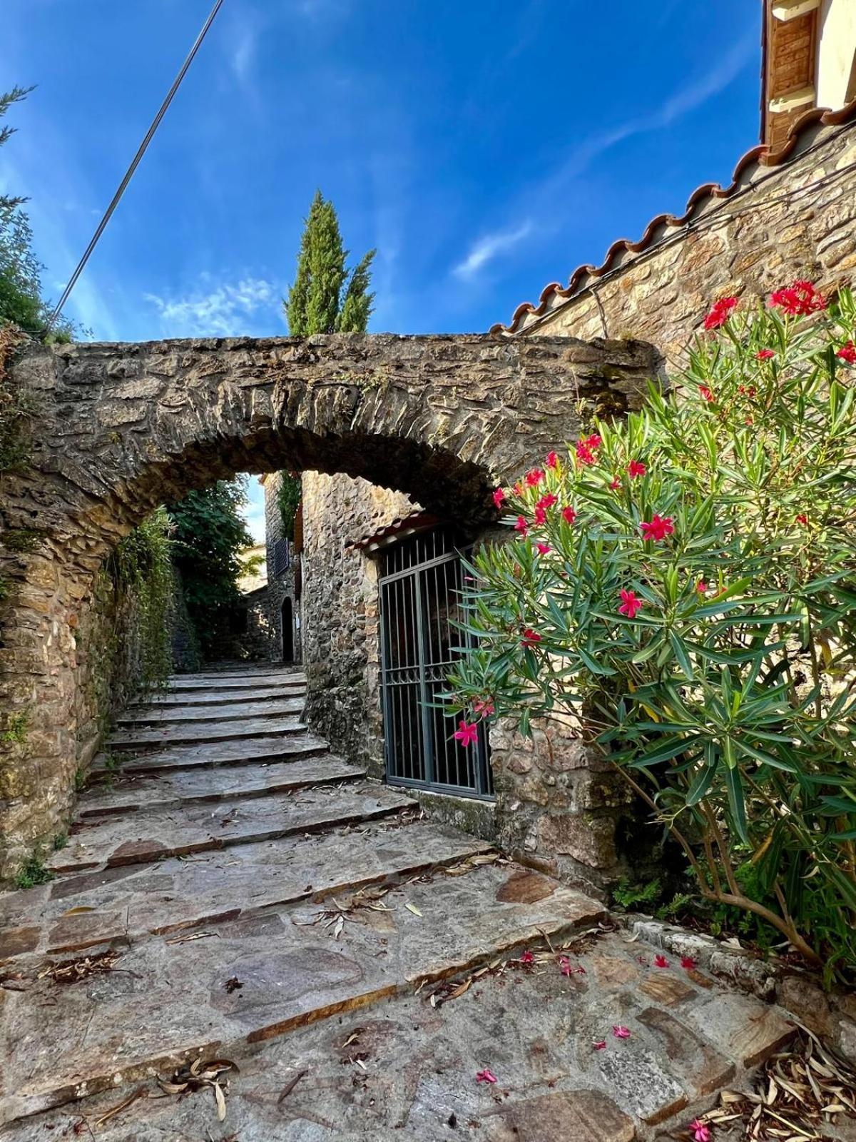Moulin Gaillard Otel Bédarieux Dış mekan fotoğraf