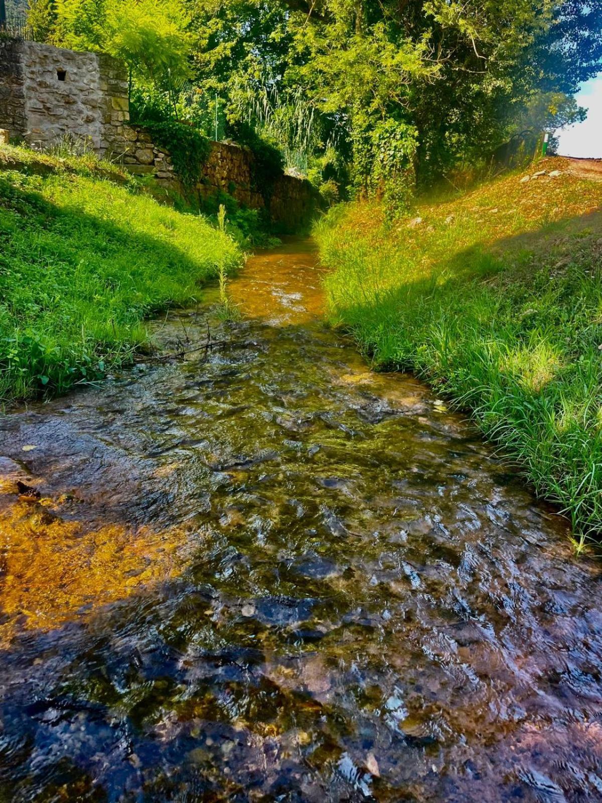 Moulin Gaillard Otel Bédarieux Dış mekan fotoğraf